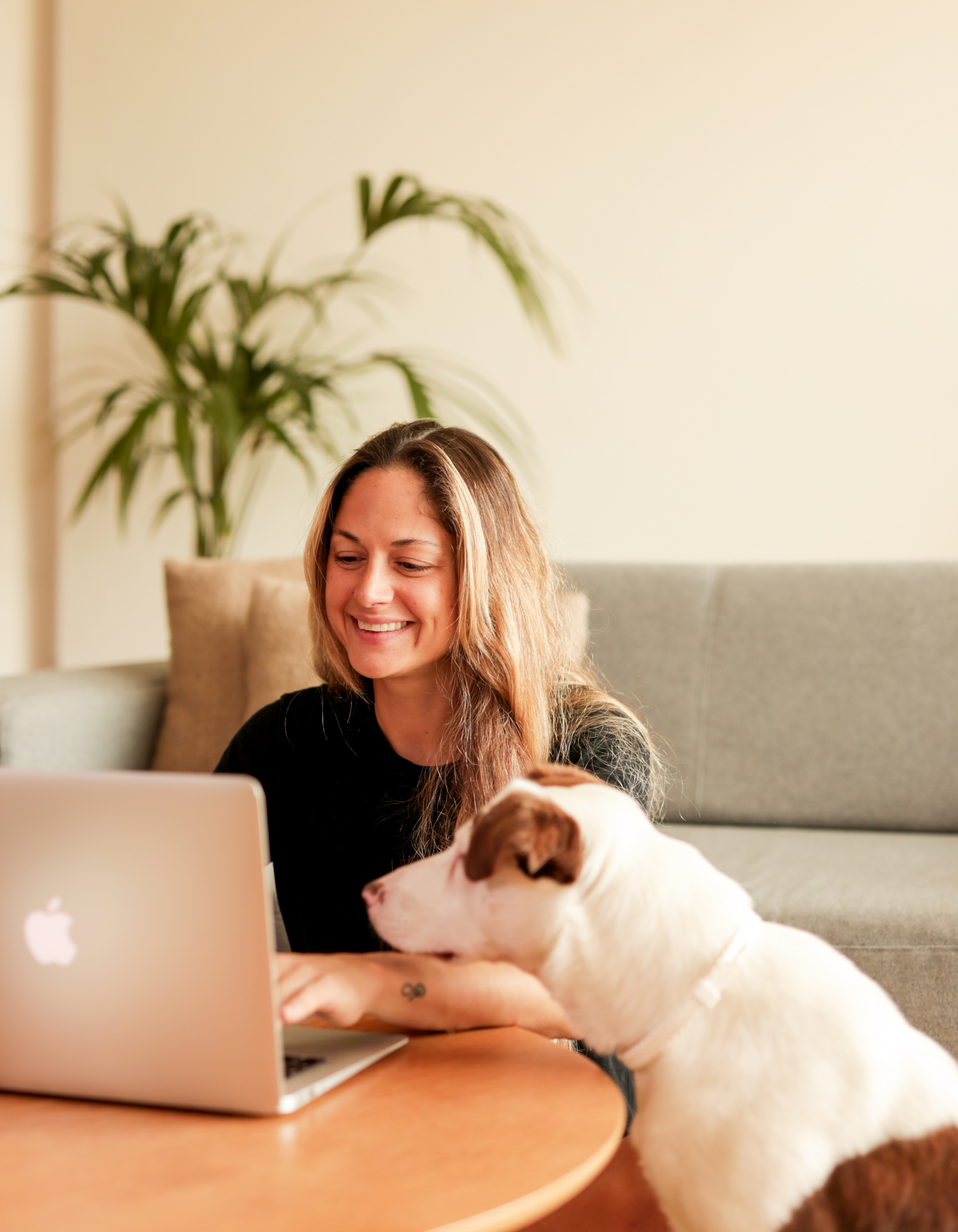 Suscripción a comida natural