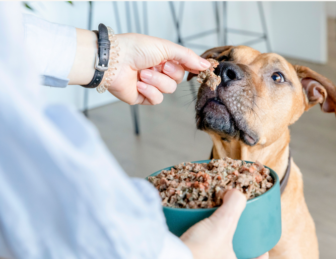 Beefit - menú de ternera para perros 200g