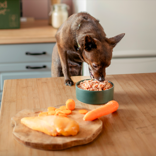 Menú semanal para perros medianos (+15kg) - 2,8kg