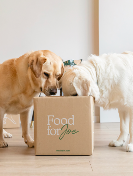 Mejillón de labios verdes formato frasco - Suplemento 100% natural para perros y gatos