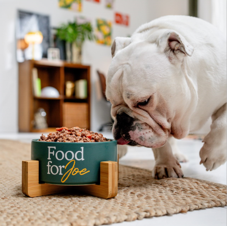 Turkeat - menú de pavo para perros 800g