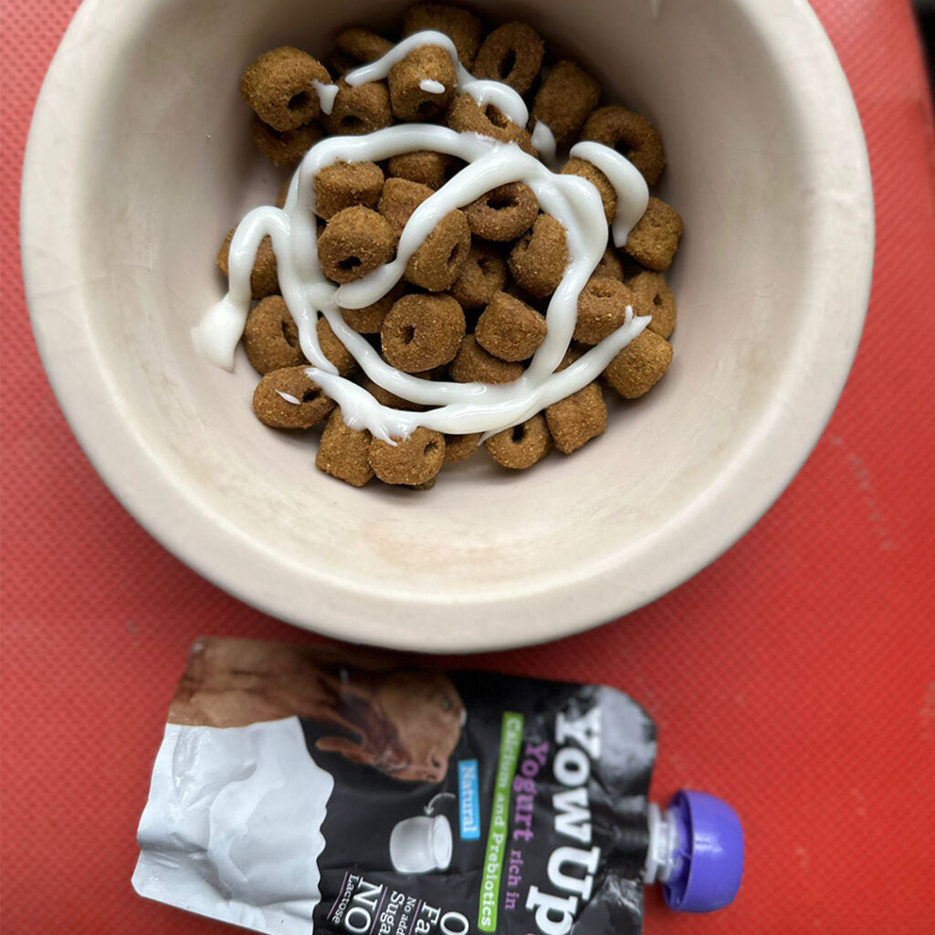 Yow Up yogur natural sin lactosa - Prebiótico para perro