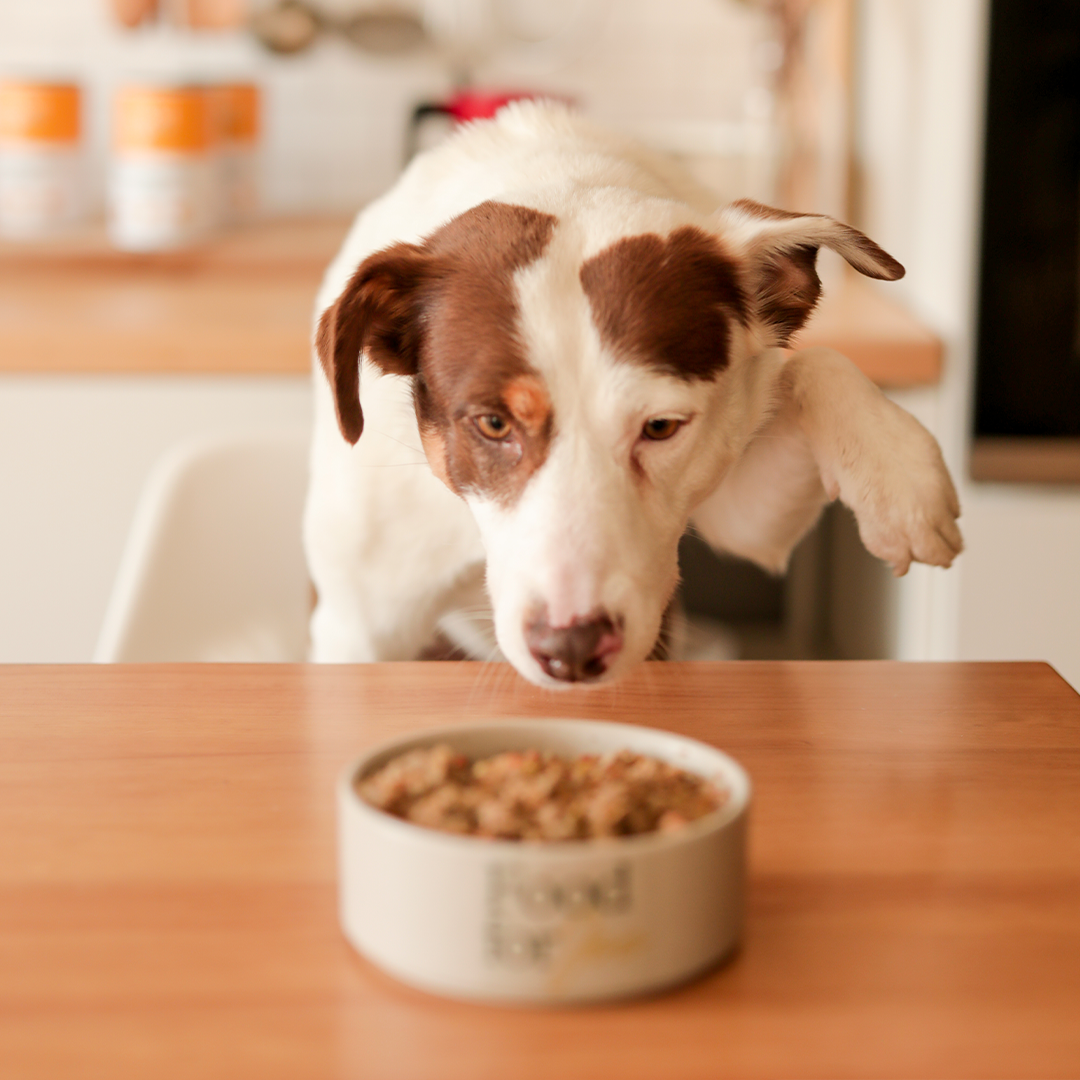 Roosterbooster - menú de pollo para perros 200g