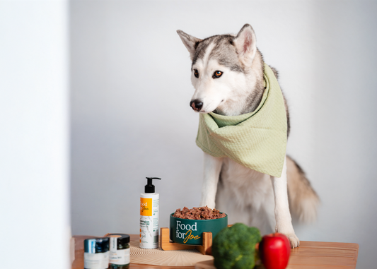 Qué puedes hacer para reforzar el sistema inmunologico de tu perro