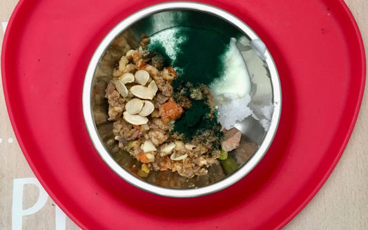 COMPLEMENTANDO LA DIETA DE NUESTROS PERROS