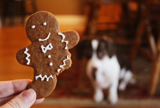 galletas caseras para perros