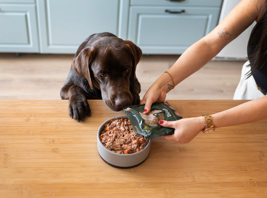 ¿Cuánto aguanta Food for Joe en la nevera?