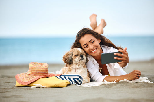 El verano y los perros de razas pequeñas