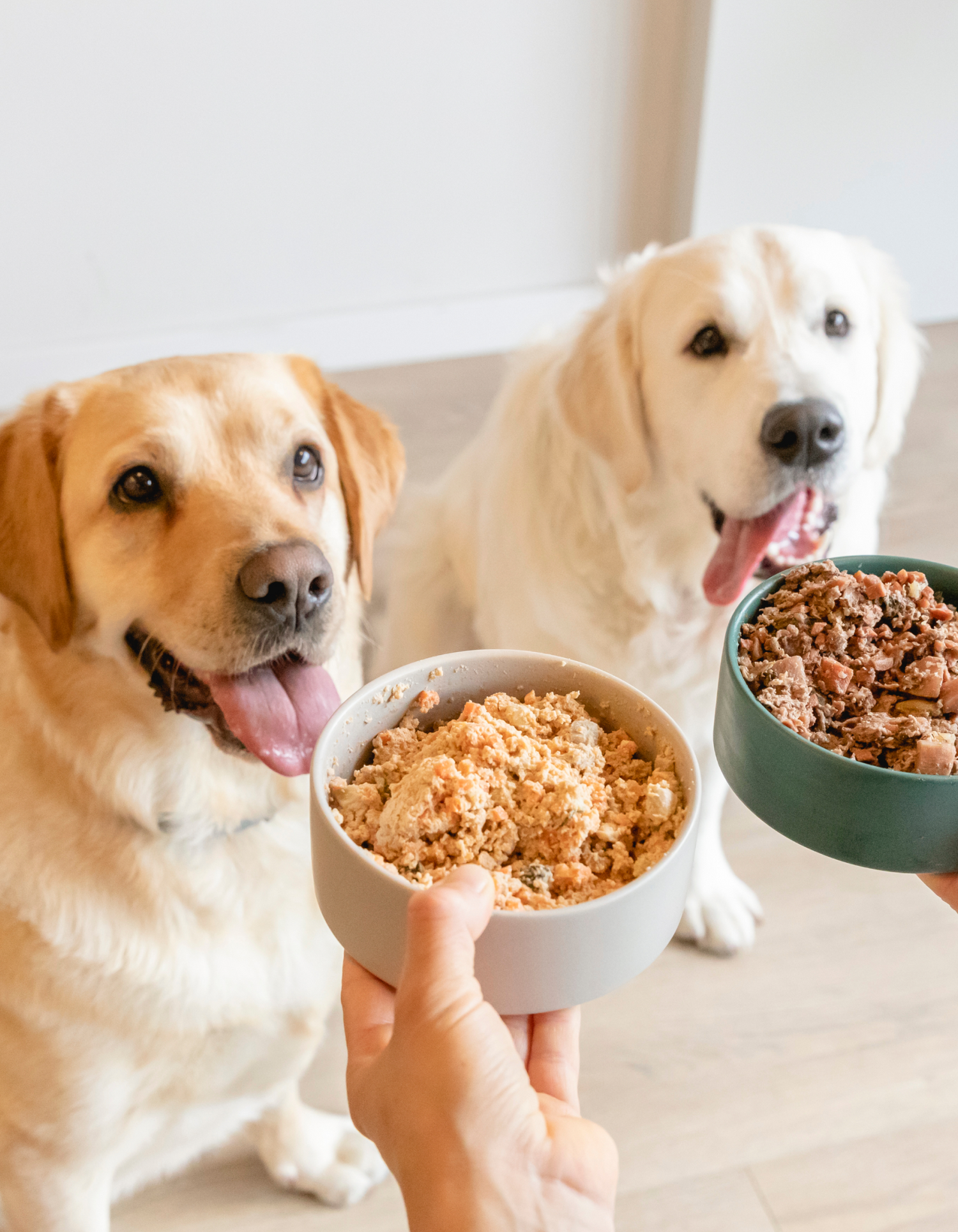 Comida perros raza grande