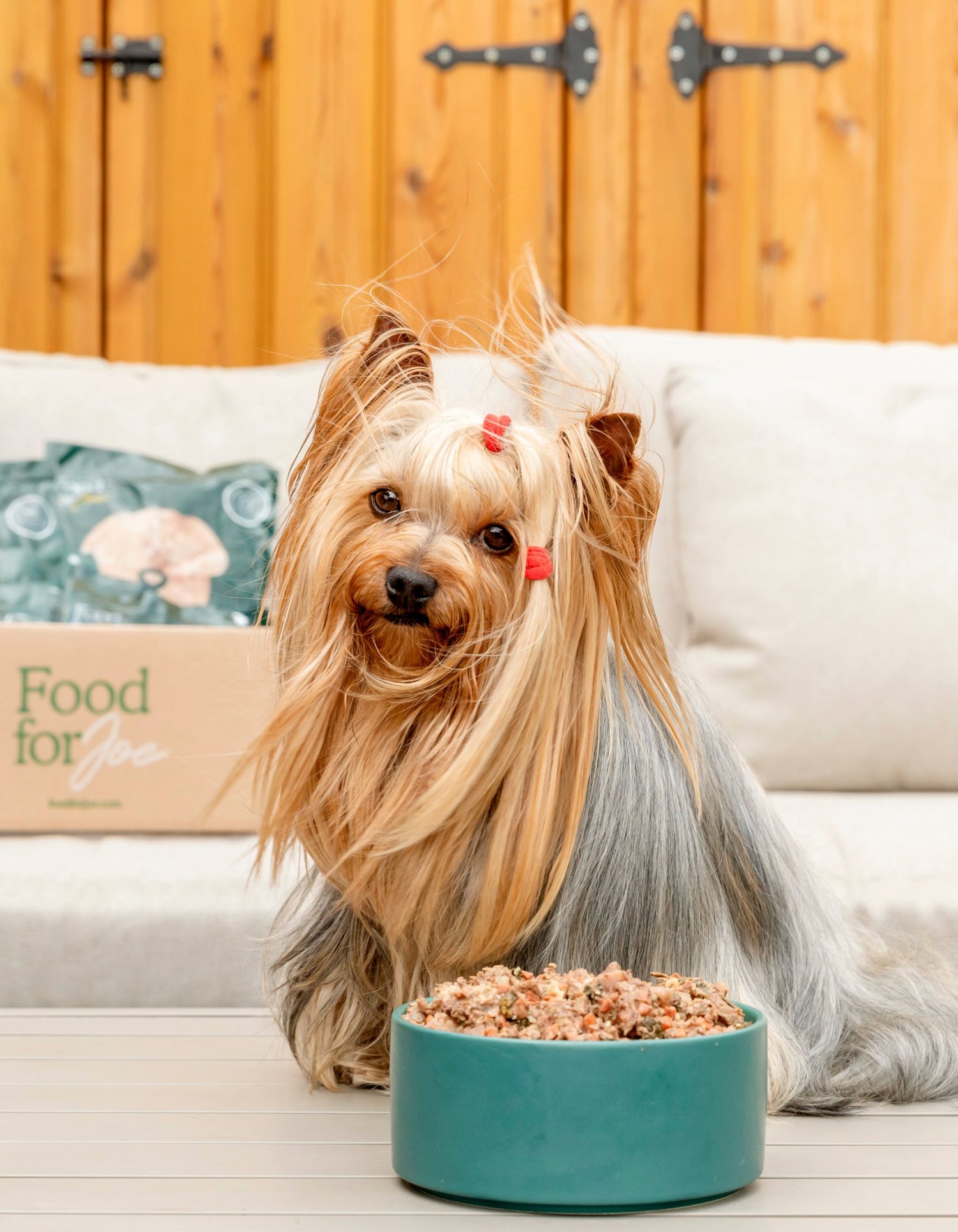 Comida perros raza pequeña