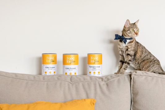 Gastrointestinal Care para Gatos - Suplemento para salud digestiva