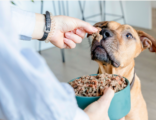 Beefit - menú de ternera para perros 800g