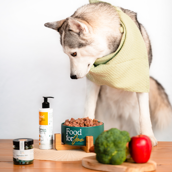 Aceite de Salmón - Suplemento 100% natural para perros y gatos