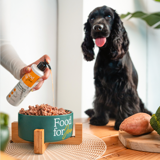 Aceite de Salmón - Suplemento 100% natural para perros y gatos