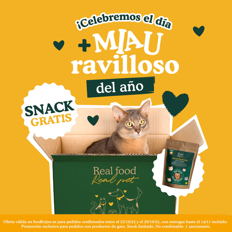 🎁 🎁 Snack Día del Gato 🎁😻 (100% off) (100% off)
