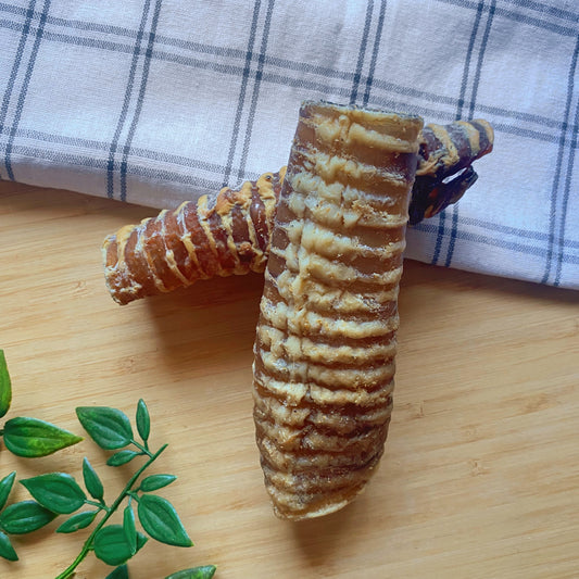 Tráquea de ternera deshidratada - Snack 100% natural