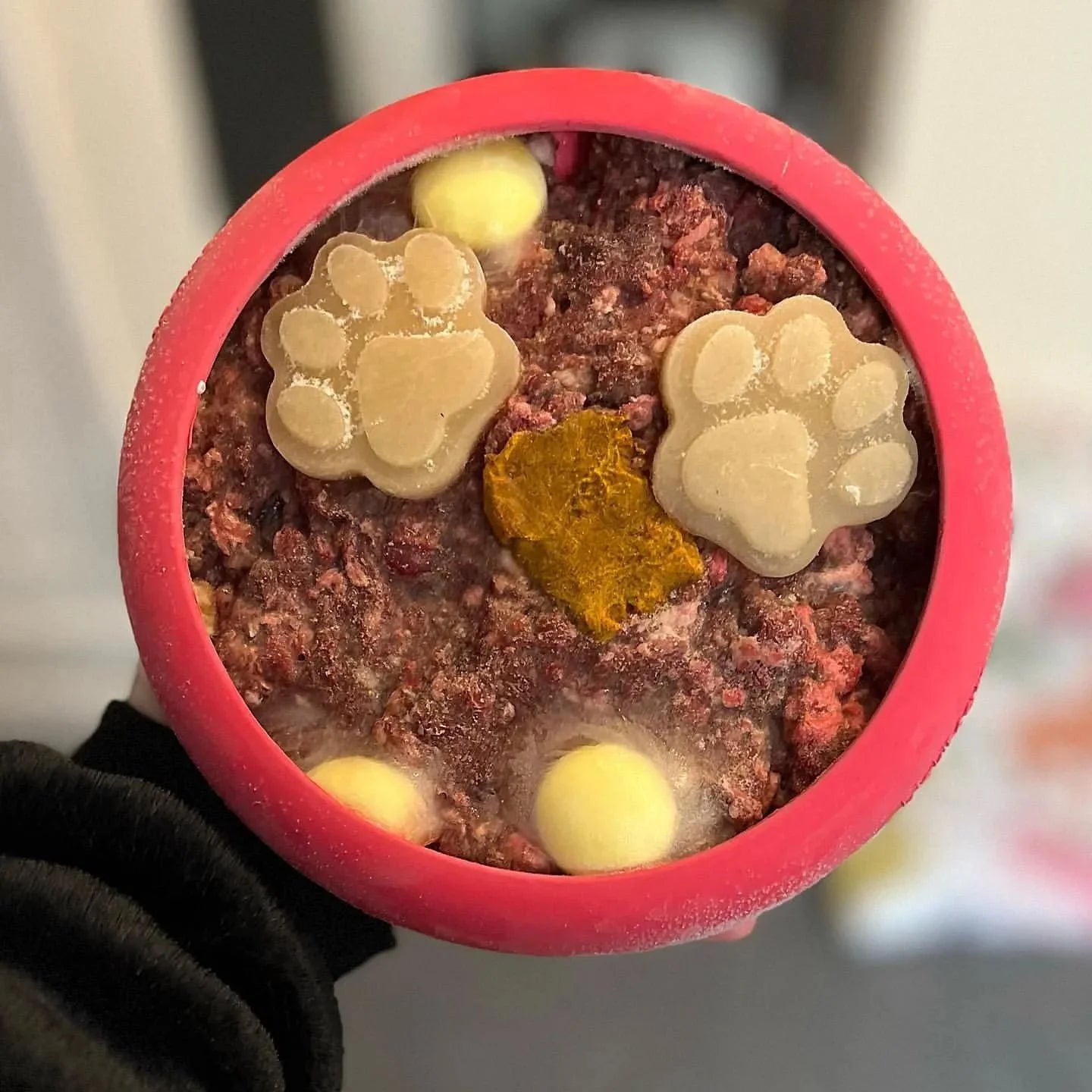 Pack iniciación perro x LickiMat UFO