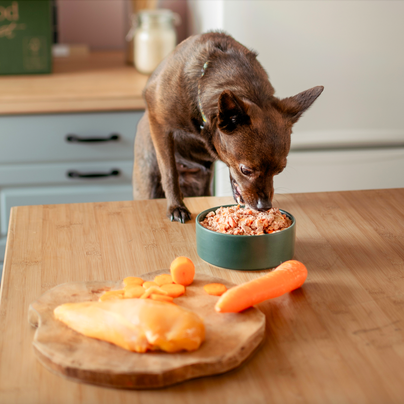 Menú semanal para perros medianos (+15kg) - 2,8kg