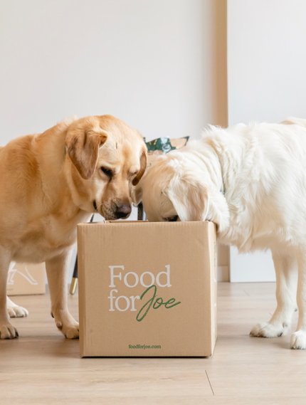 Mejillón de labios verdes - Suplemento 100% natural para perros y gatos