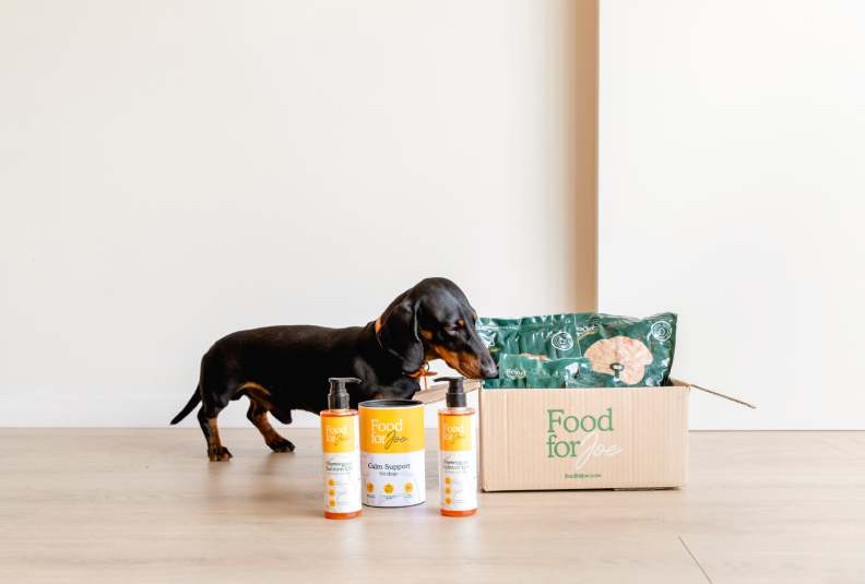 Espirulina BIO Food for Joe - Suplemento 100% natural para perros y gatos