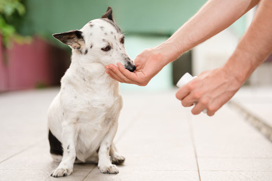 SOFCANIS Crecimiento en Comprimidos - Suplemento para Cachorro