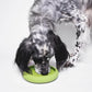 Pack iniciación perro x LickiMat UFO