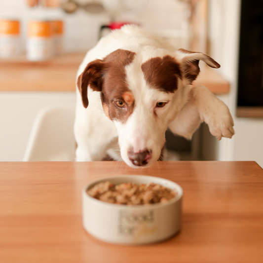 Roosterbooster - menú de pollo para perros 400g